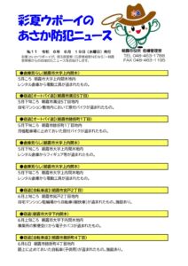 彩夏ウボーイ no.11のサムネイル