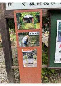 大祓2のサムネイル