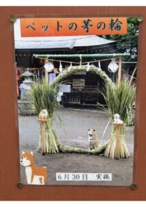 大祓3のサムネイル