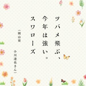 ときめき川柳　告知 (34)のサムネイル