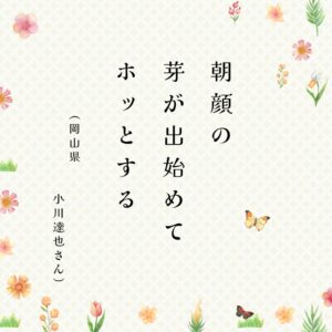 ときめき川柳　告知 (36)のサムネイル