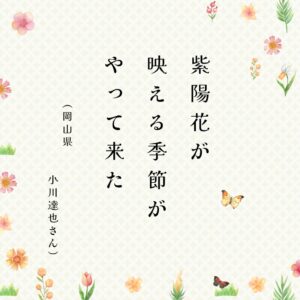 ときめき川柳　告知 (40)のサムネイル