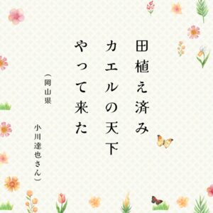 ときめき川柳　告知 (41)のサムネイル